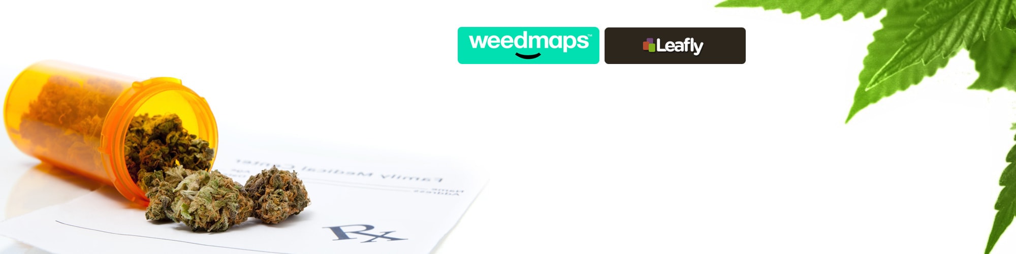 Cannabis Web Designs