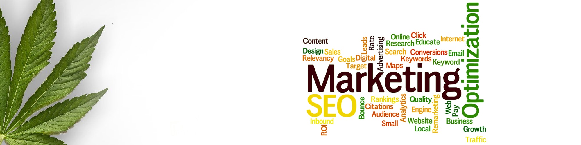 Dispensary Web Design